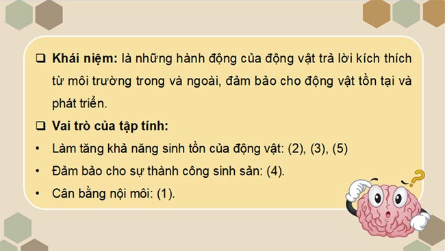 Sinh 11 KNTT HK2 6*465447