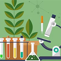 Giáo án PowerPoint Sinh học 10 Kết nối tri thức (Cả năm)