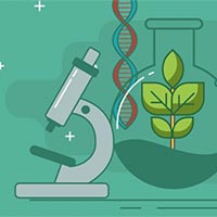 Giáo án PowerPoint Sinh học 10 Kết nối tri thức Học kì 1