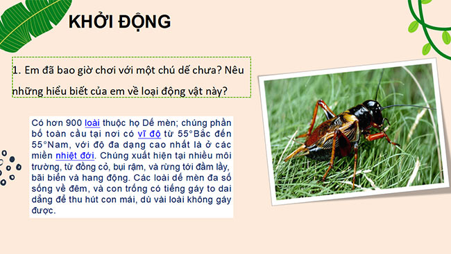 powerpoint ngu van 6 canh dieu hoc ki 2 2*465531