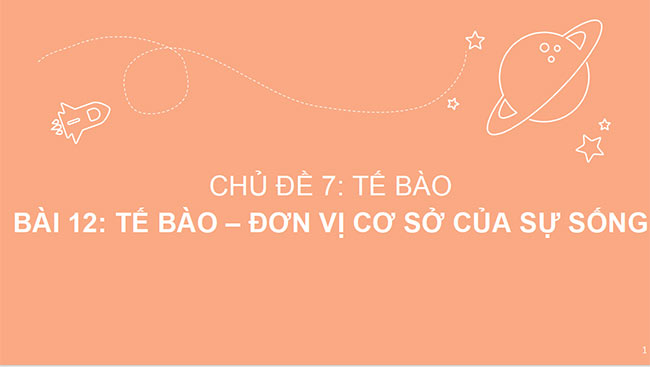 powerpoint sinh hoc 6 canh dieu 1*465366