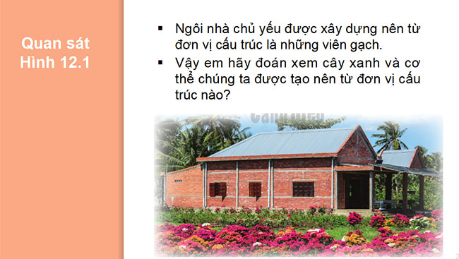 powerpoint sinh hoc 6 canh dieu 2*465372