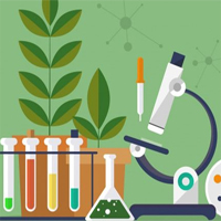 Giáo án PowerPoint Sinh học 6 Cánh Diều (Cả năm)