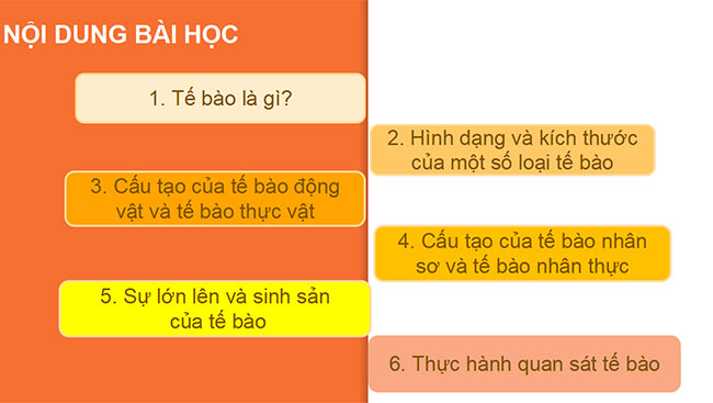 powerpoint sinh hoc 6 canh dieu 4*465367