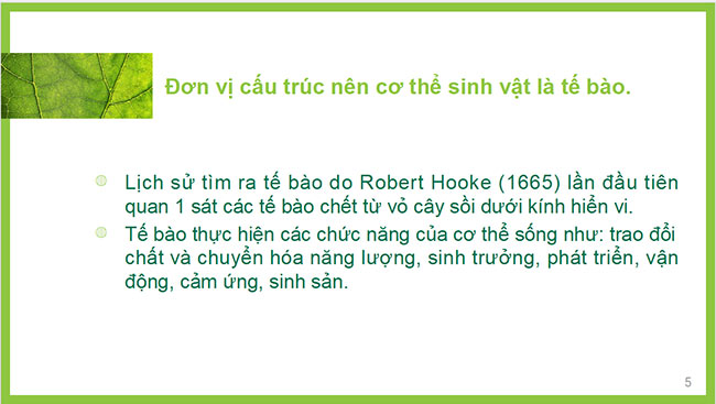powerpoint sinh hoc 6 chan troi sang tao 5*465456