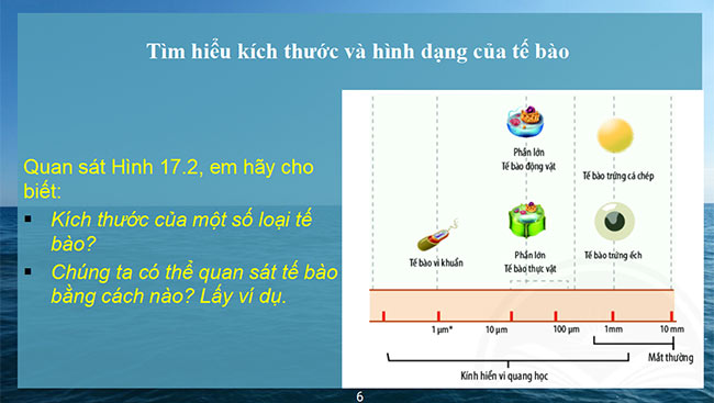powerpoint sinh hoc 6 chan troi sang tao 6*465455