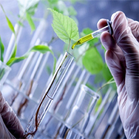 Giáo án PowerPoint Sinh học 6 Kết nối tri thức (Cả năm)