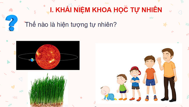 powerpoint sinh hoc 6 ket noi tri thuc 3*465259