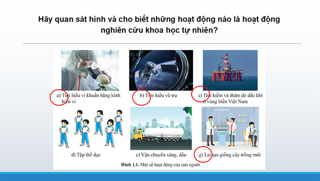 powerpoint vat li 6 canh dieu 4*465293