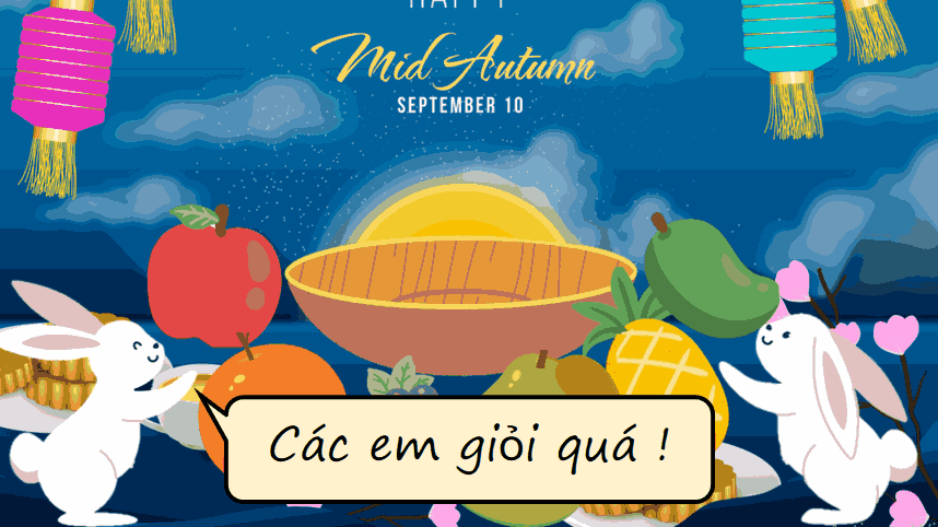 trang tri mam ngu qua 2*466609