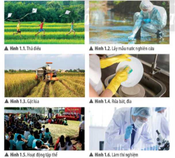 Khoa học tự nhiên