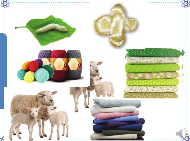 powerpoint cong nghe 6 canh dieu hoc ki 2 5*467304