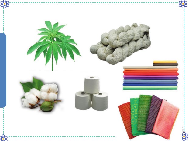 powerpoint cong nghe 6 canh dieu hoc ki 2 6*467303