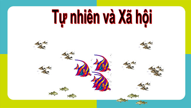 powerpoint tu nhien xa hoi lop 1 canh dieu hoc ki 2 1*467614