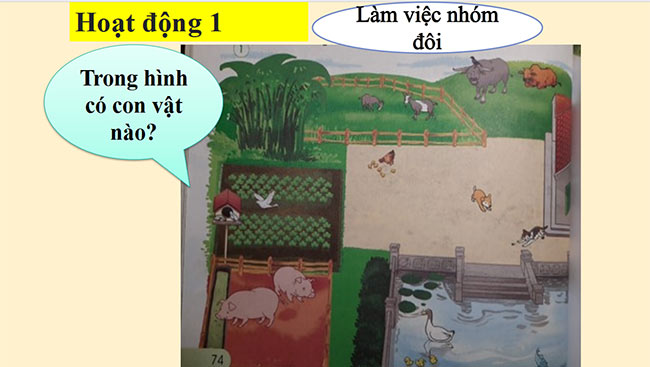 powerpoint tu nhien xa hoi lop 1 canh dieu hoc ki 2 5*467619