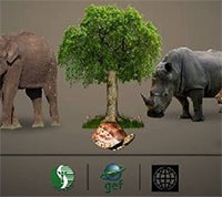 Giáo án Sinh hoạt dưới cờ lớp 6 chủ đề: Em với thiên nhiên và môi trường tuần 28