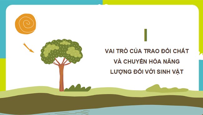 PowerPoint Sinh học 11 Kết nối tri thức Bài 1