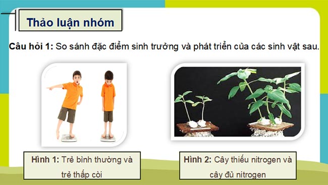 PowerPoint Sinh học 11 Kết nối tri thức Bài 1