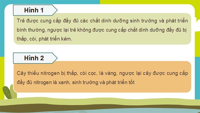 PowerPoint Sinh học 11 Kết nối tri thức Bài 1