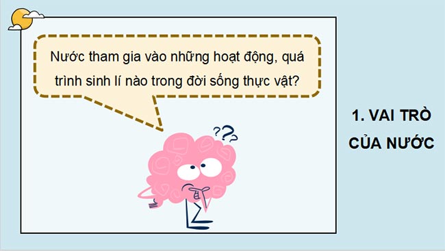 PowerPoint Sinh học 11 Kết nối tri thức Bài 2