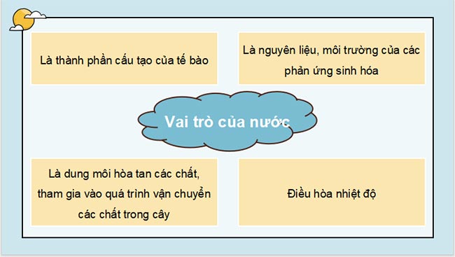 PowerPoint Sinh học 11 Kết nối tri thức Bài 2