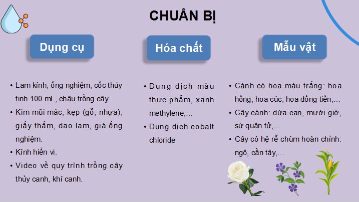PowerPoint Sinh học 11 Kết nối tri thức Bài 3