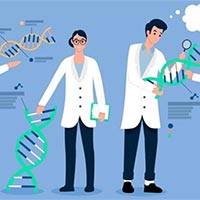 PowerPoint Sinh học 11 Bài 4: Quang hợp ở thực vật  