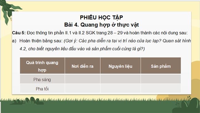 PowerPoint Sinh học 11 Kết nối tri thức Bài 4
