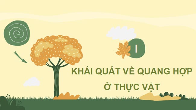 PowerPoint Sinh học 11 Kết nối tri thức Bài 4