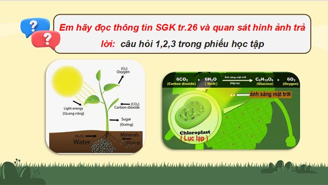 PowerPoint Sinh học 11 Kết nối tri thức Bài 4