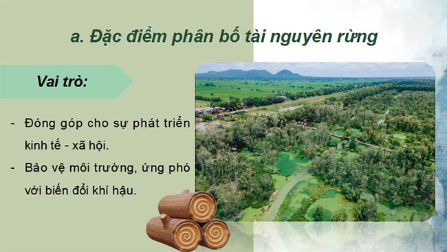 PowerPoint Địa lí 9 Kết nối tri thức Bài 5