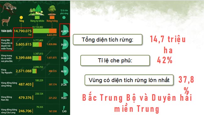 PowerPoint Địa lí 9 Kết nối tri thức Bài 5