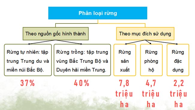 PowerPoint Địa lí 9 Kết nối tri thức Bài 5