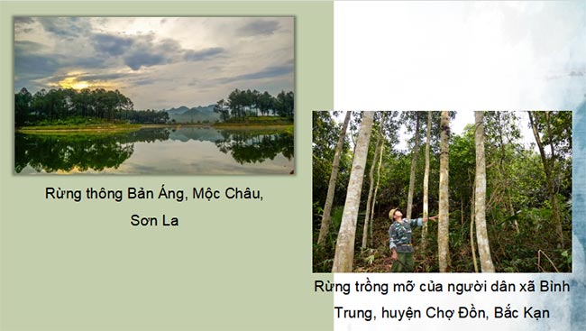 PowerPoint Địa lí 9 Kết nối tri thức Bài 5