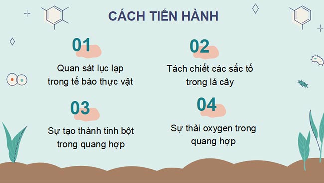 PowerPoint Sinh học 11 Kết nối tri thức Bài 5