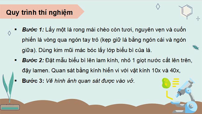 PowerPoint Sinh học 11 Kết nối tri thức Bài 5