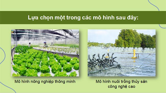 PowerPoint Địa lí 9 Kết nối tri thức Bài 6