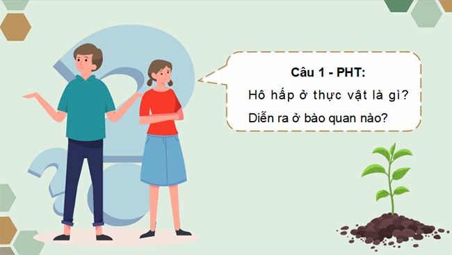 PowerPoint Sinh học 11 Kết nối tri thức Bài 6