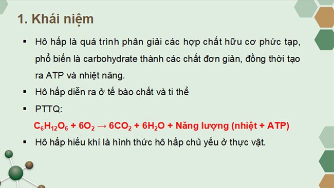 PowerPoint Sinh học 11 Kết nối tri thức Bài 6