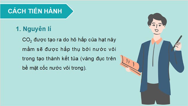 PowerPoint Sinh học 11 Kết nối tri thức Bài 7