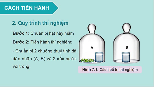 PowerPoint Sinh học 11 Kết nối tri thức Bài 7