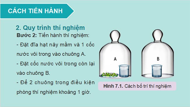 PowerPoint Sinh học 11 Kết nối tri thức Bài 7