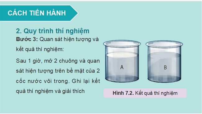 PowerPoint Sinh học 11 Kết nối tri thức Bài 7