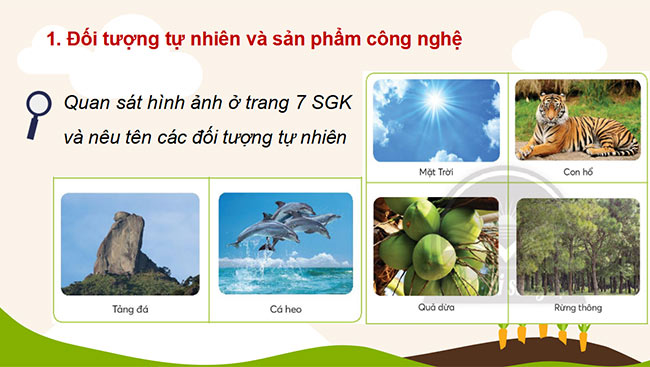 PowerPoint Công nghệ 3 Tự nhiên và công nghệ