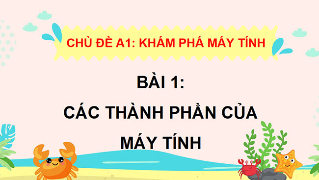 PowerPoint Các thành phần của máy tính