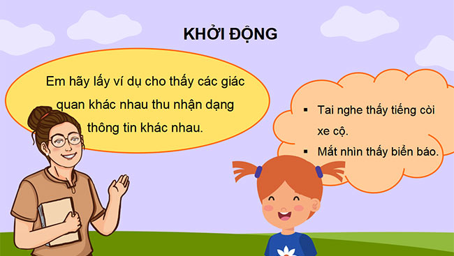 PowerPoint Các dạng thông tin thường gặp