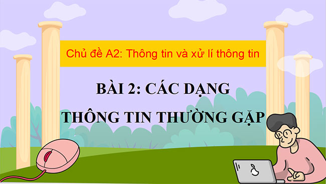 PowerPoint Các dạng thông tin thường gặp