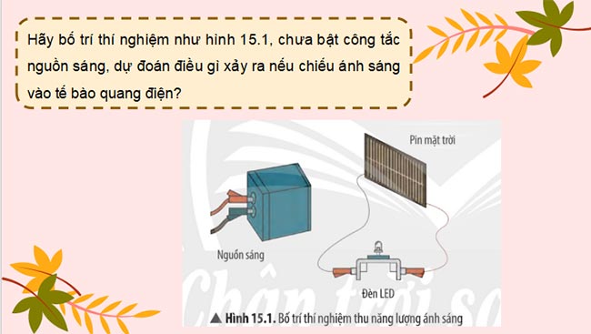 Ánh sáng tia sáng