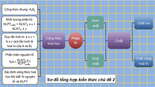 PowerPoint KHTN 7: Ôn tập chủ đề 2