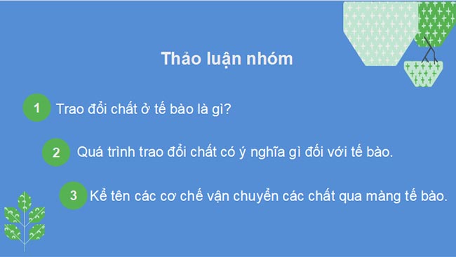 PowerPoint Sinh học 10 Kết nối tri thức Bài 10